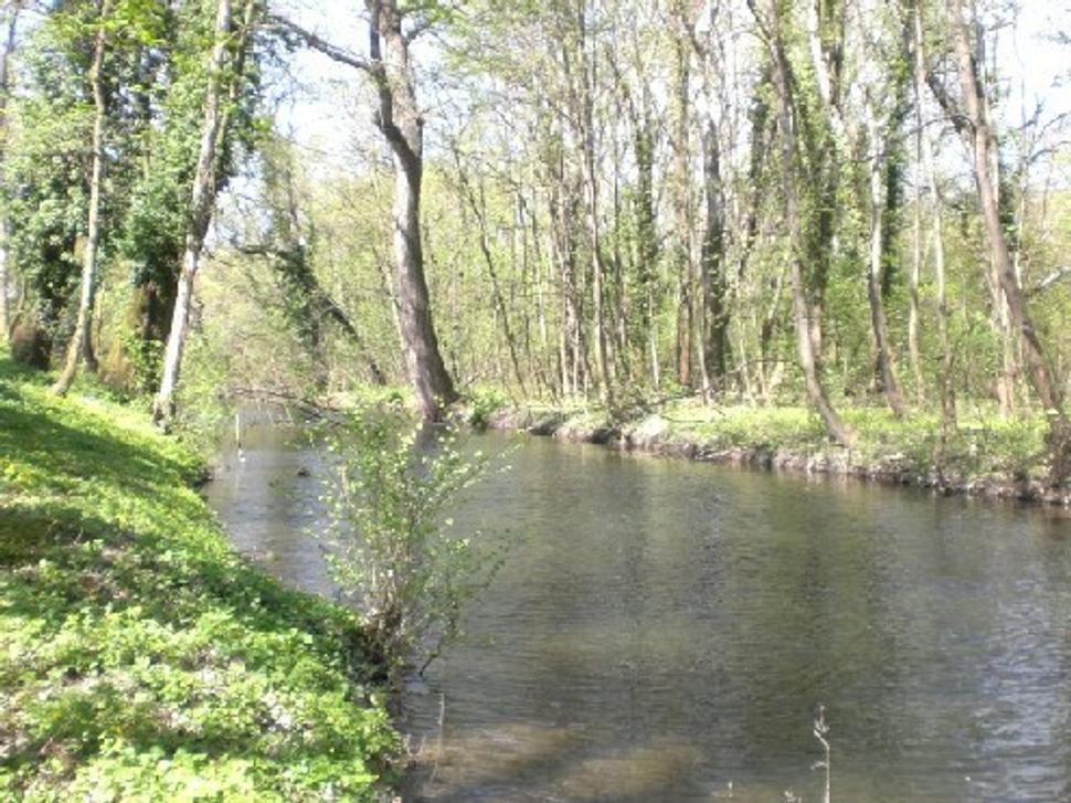 Obrázok blogu