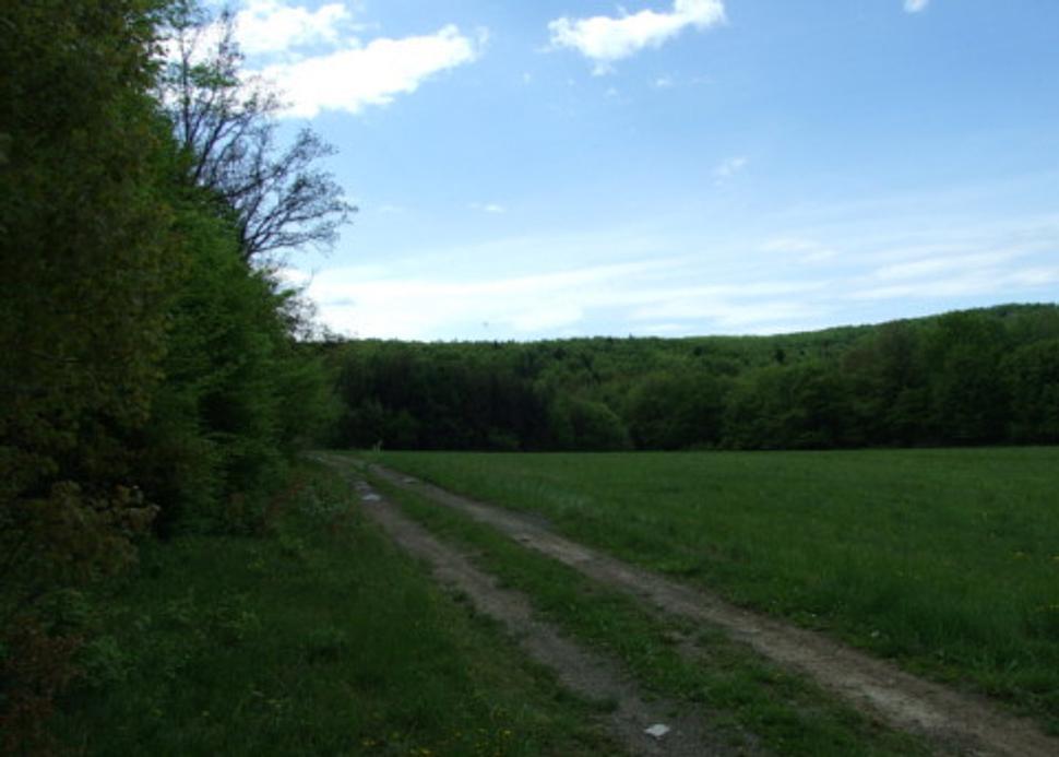 Obrázok blogu