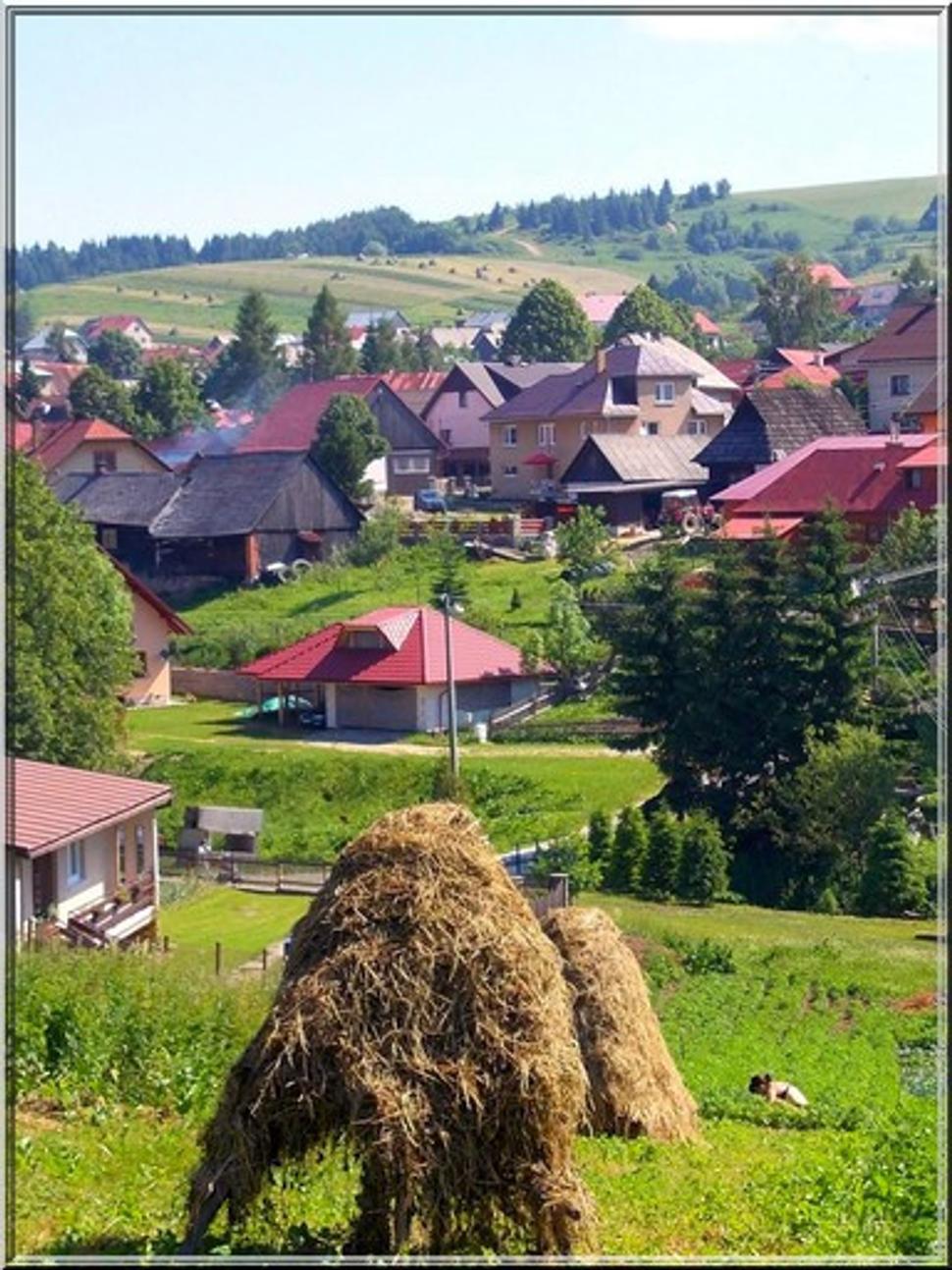 Obrázok blogu