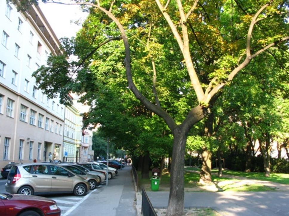 Obrázok blogu