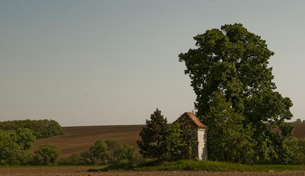 Obrázok blogu
