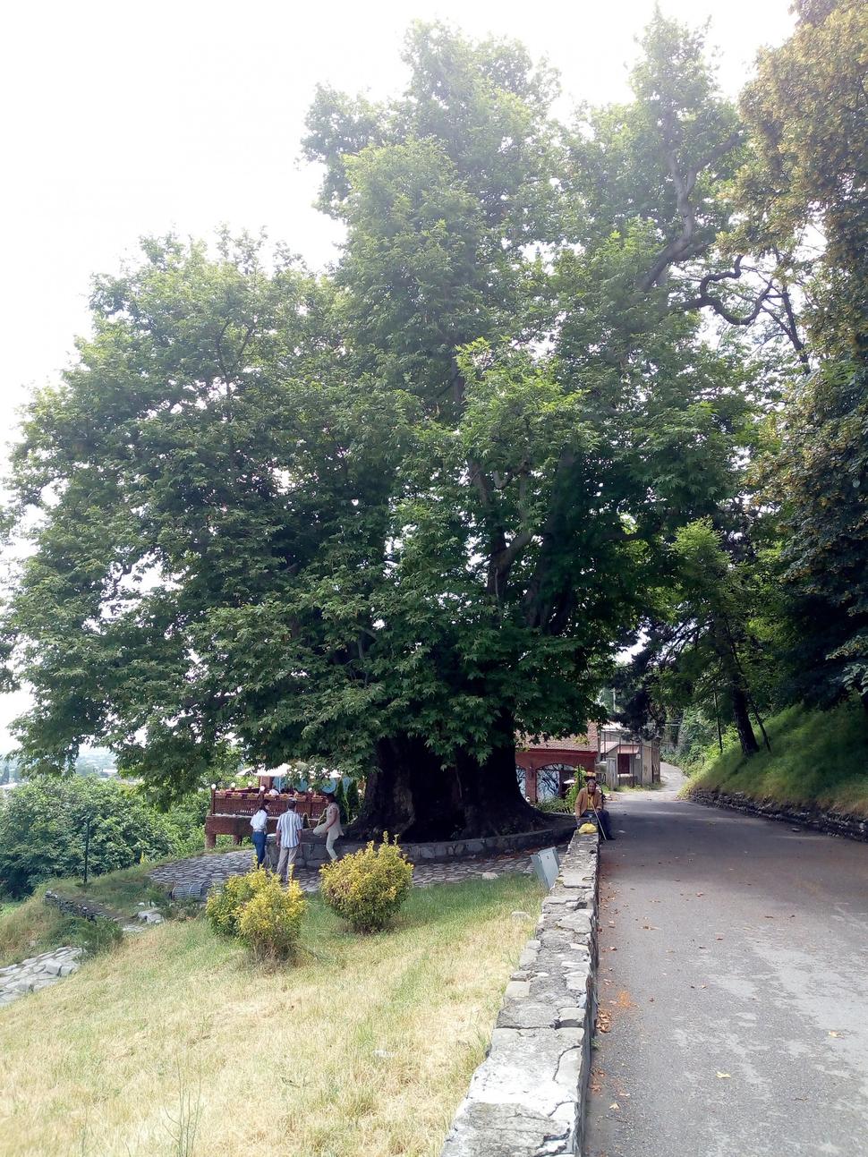 Obrázok blogu