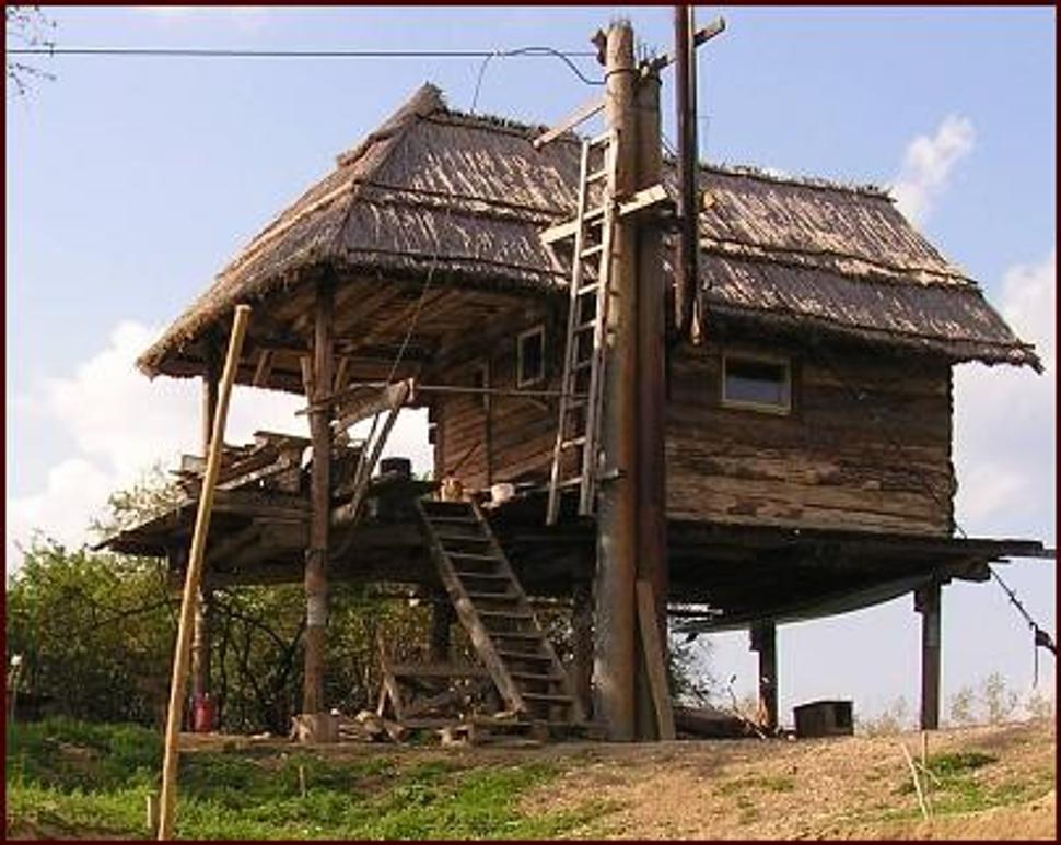 Obrázok blogu