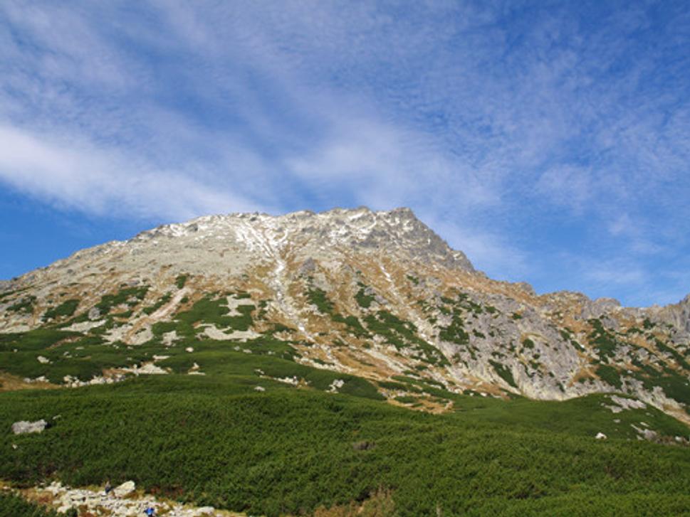 Obrázok blogu