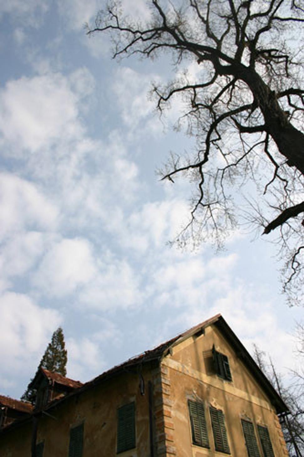 Obrázok blogu