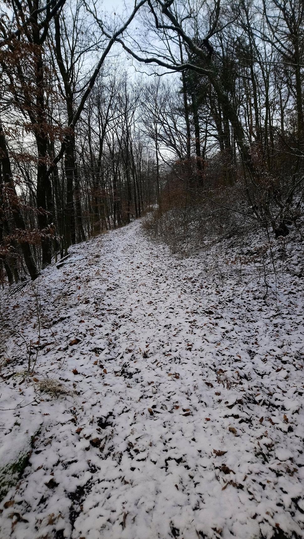 Cesta nad Novou Baňou