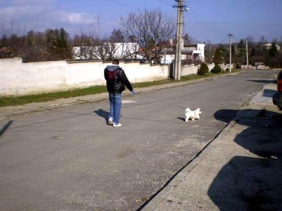 Obrázok blogu