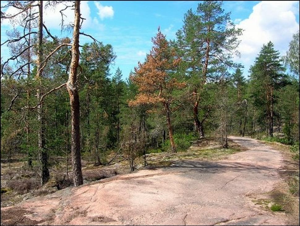Obrázok blogu