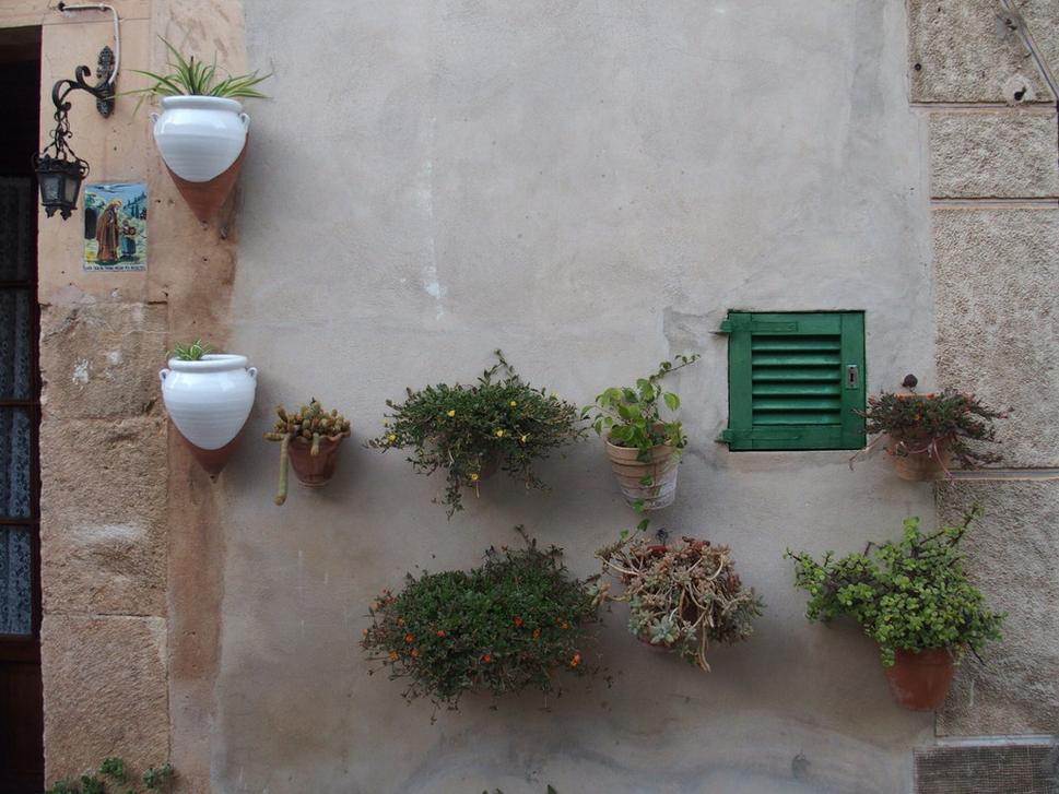 Valldemosa