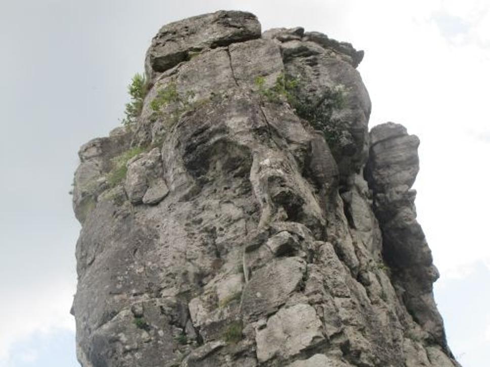 Obrázok blogu