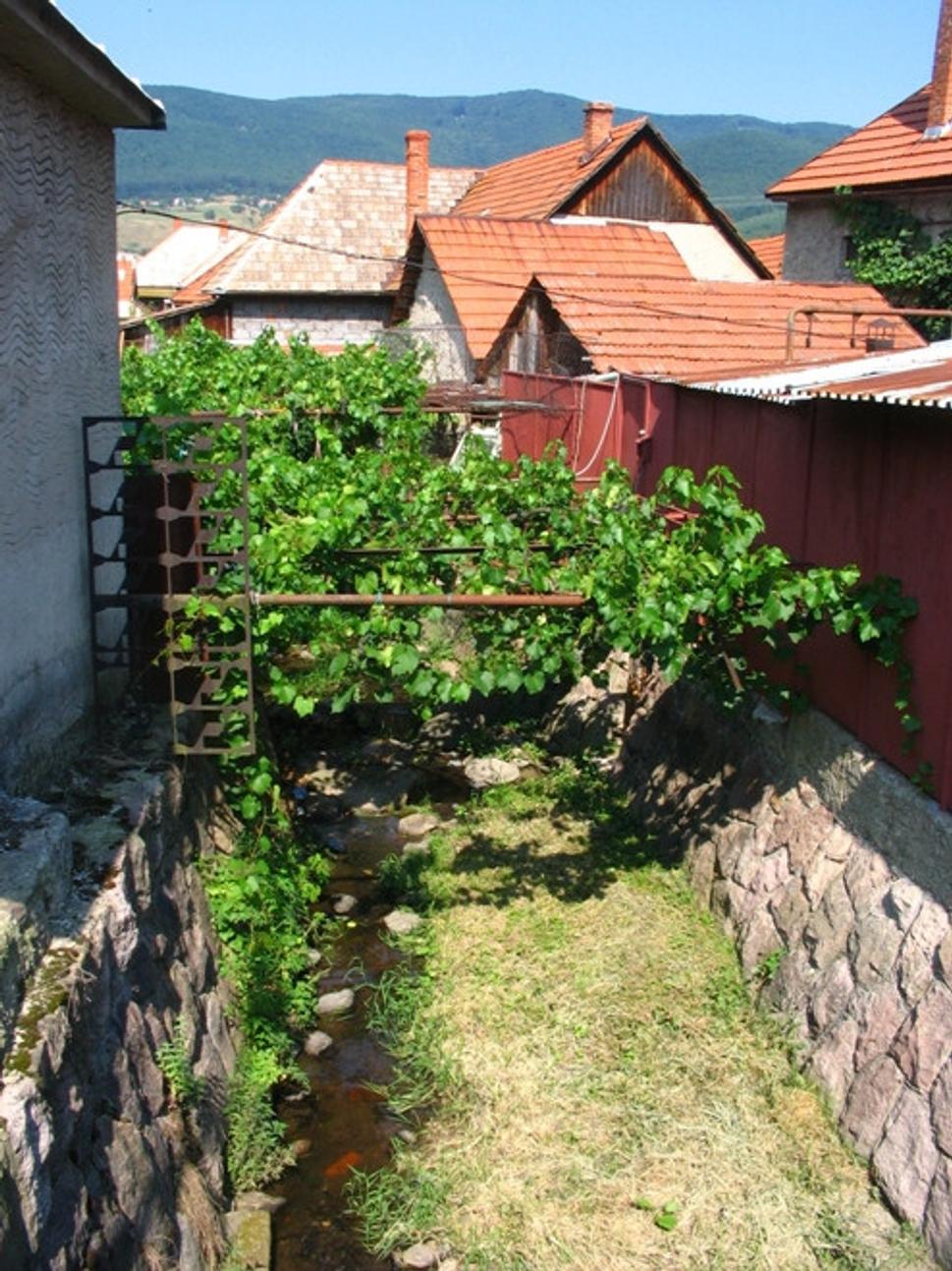 Obrázok blogu