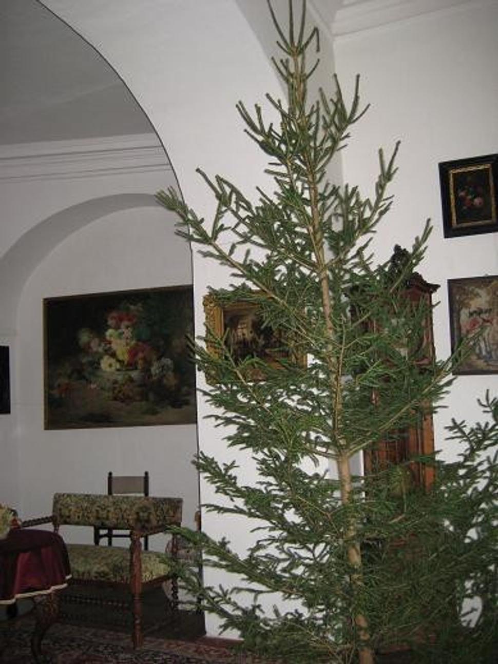 Obrázok blogu