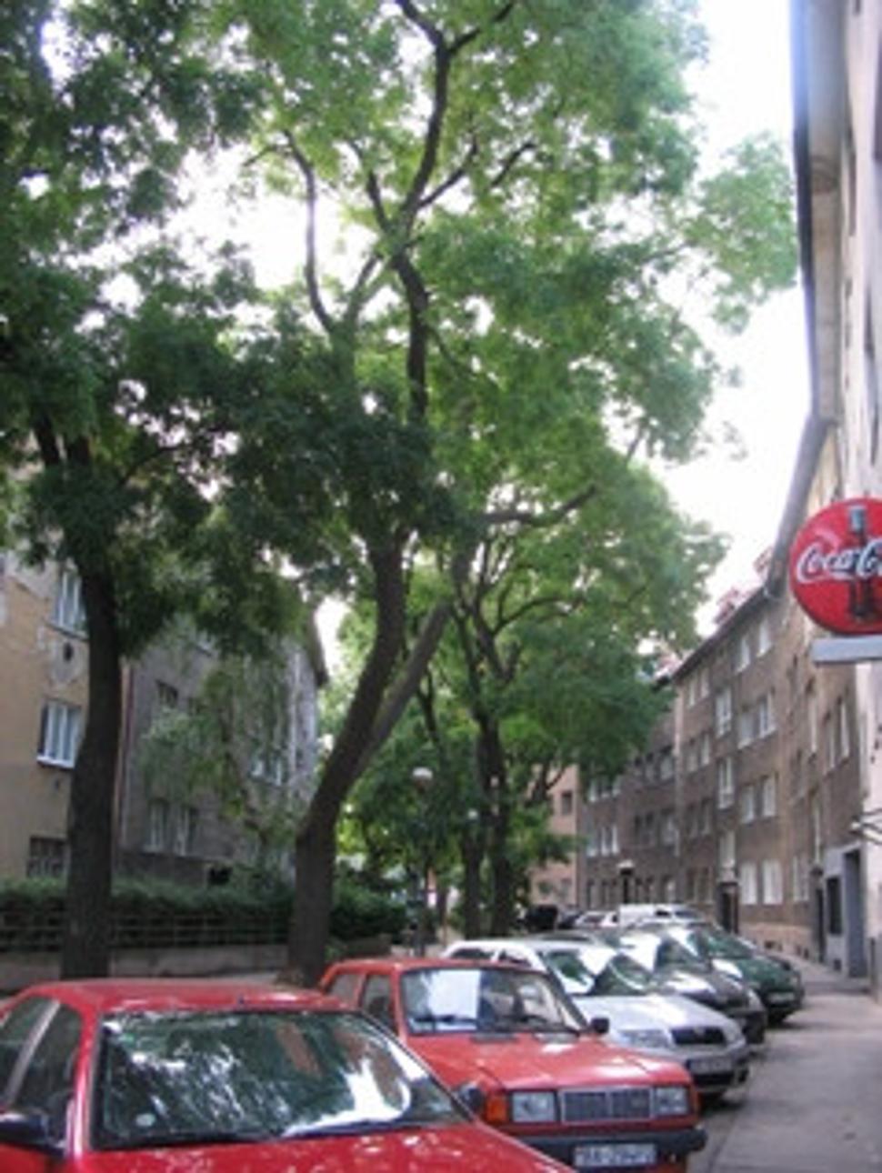 Obrázok blogu