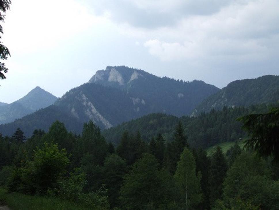Obrázok blogu