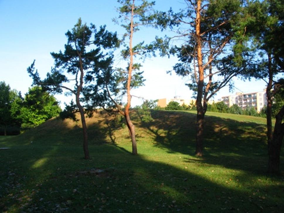 Obrázok blogu