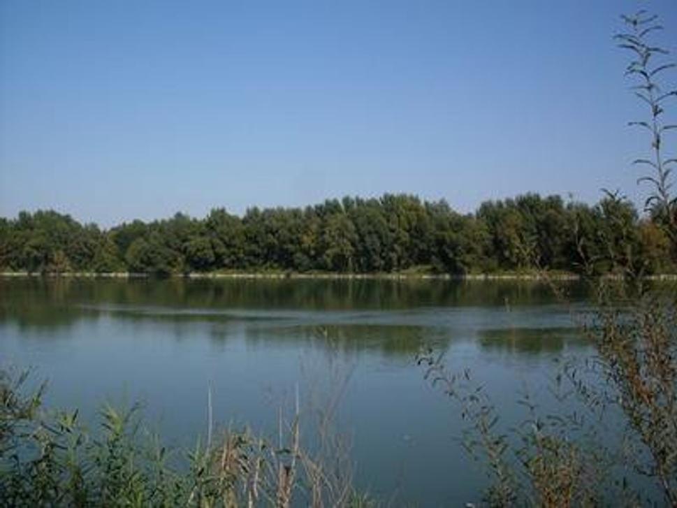 Obrázok blogu