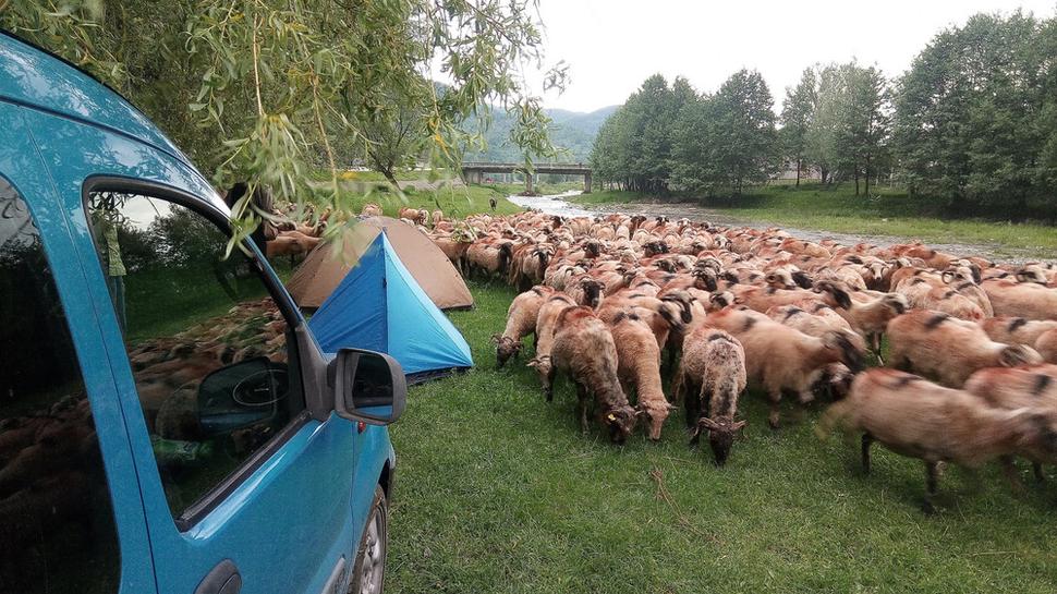 Obrázok blogu