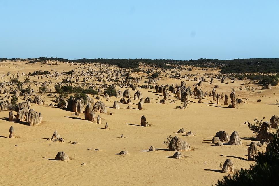 Pinnacles v Nambung National Parku