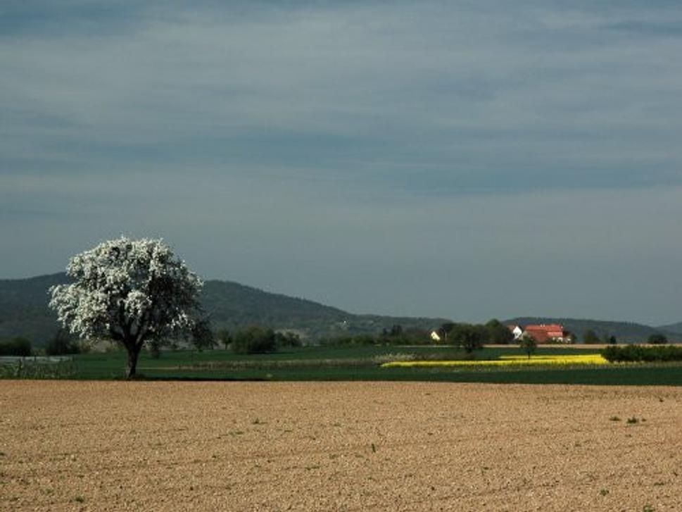 Obrázok blogu