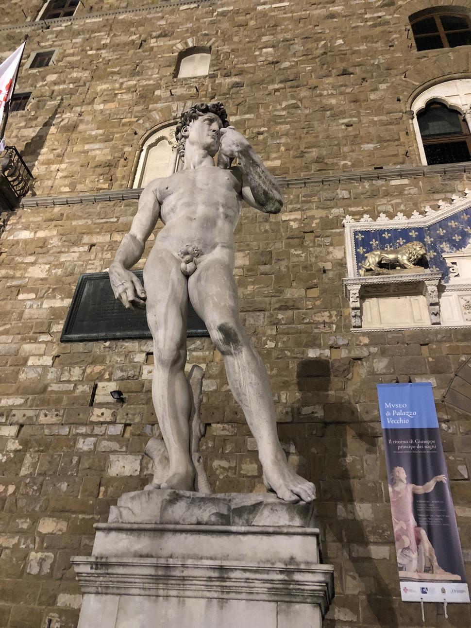 Socha Michelengelovho Dávida stojí na námestí Piazza dela Signiore. Ide o kópiu. Originál nájdete v múzeu Akadémie.
