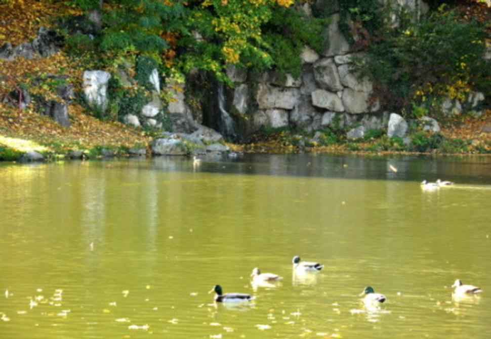 Obrázok blogu