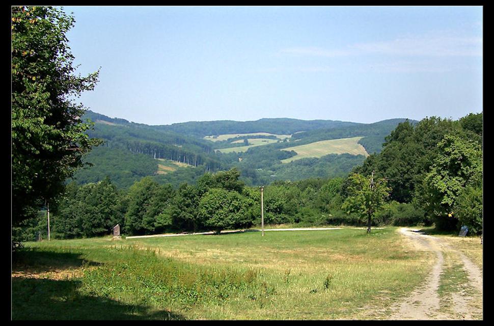 8b