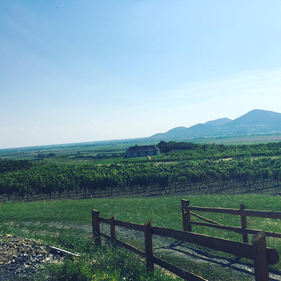 Tokaj