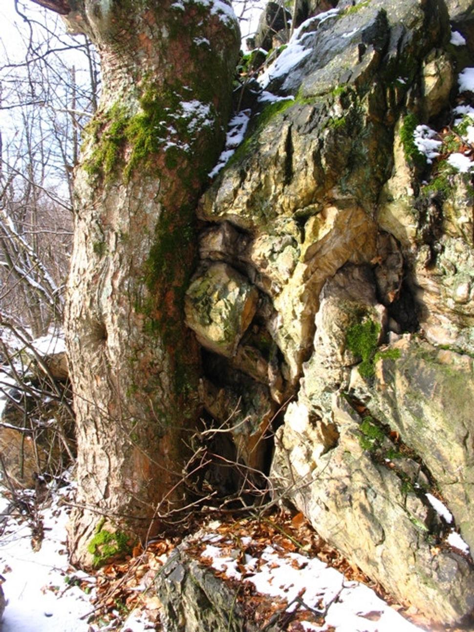 Obrázok blogu