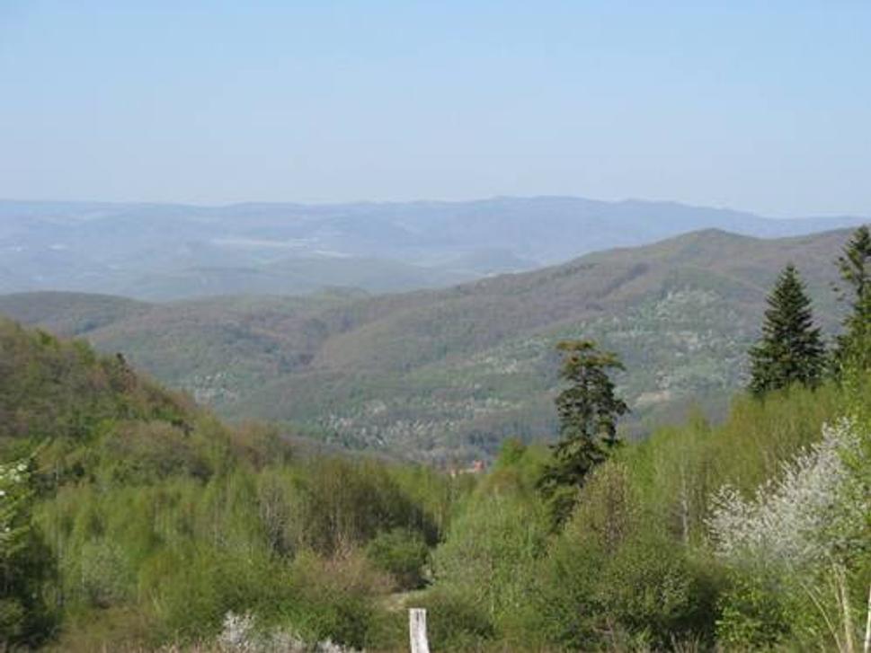 Obrázok blogu