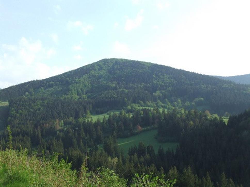 Obrázok blogu
