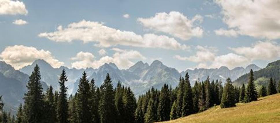 Panoramatický pohľad na Vysoké Tatry z Rusinowej poľany