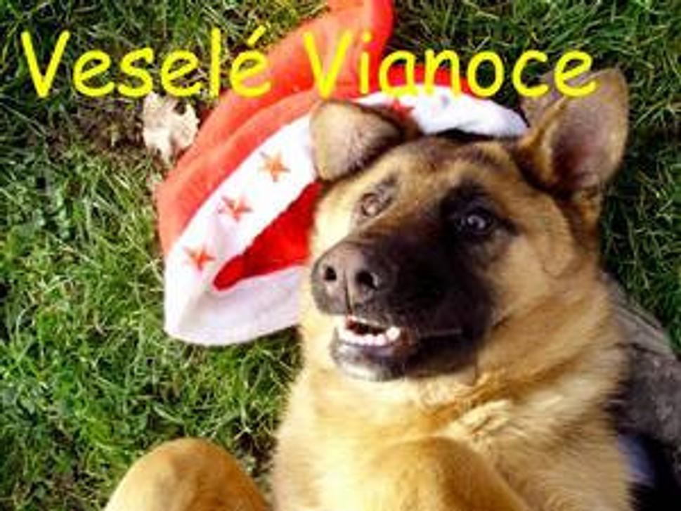 Obrázok blogu