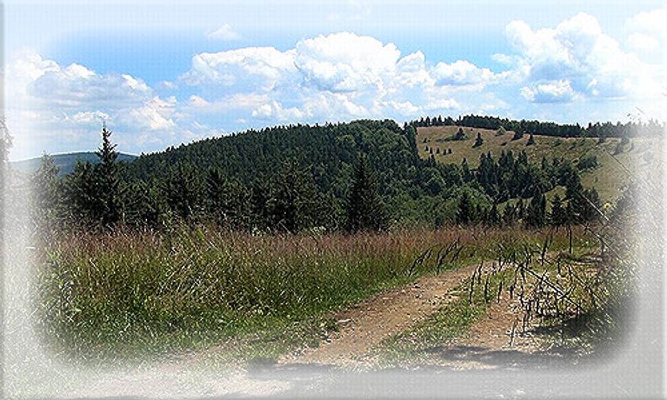Veľký Javorník