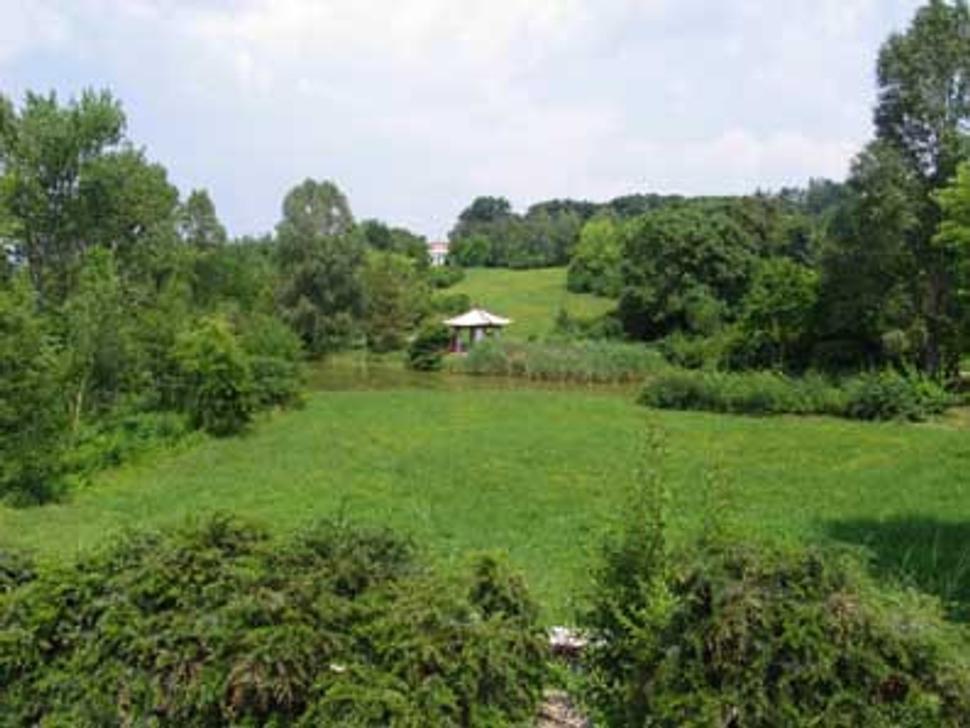 Obrázok blogu