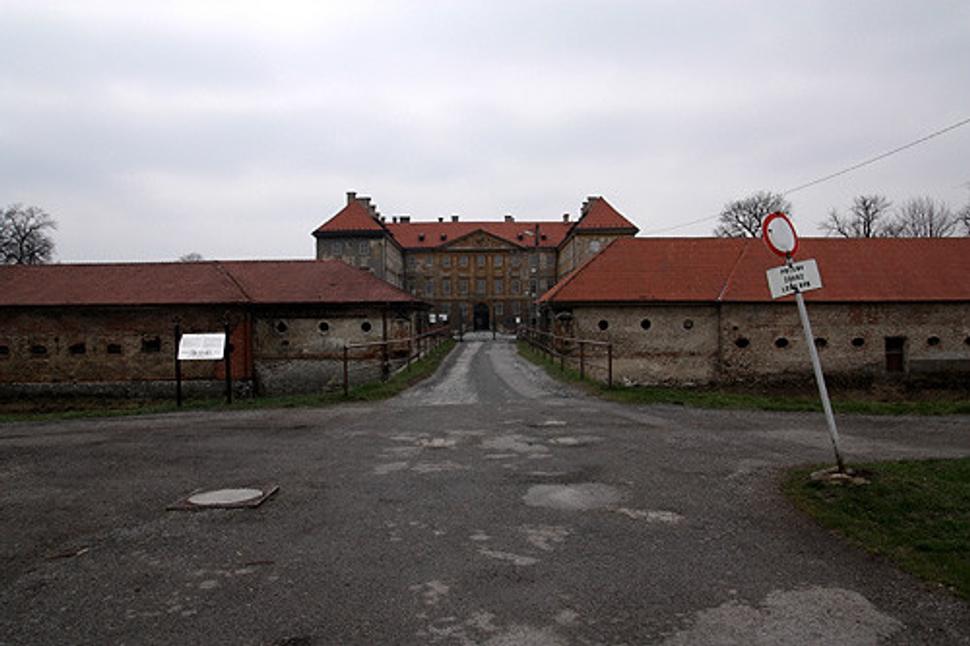 Obrázok blogu