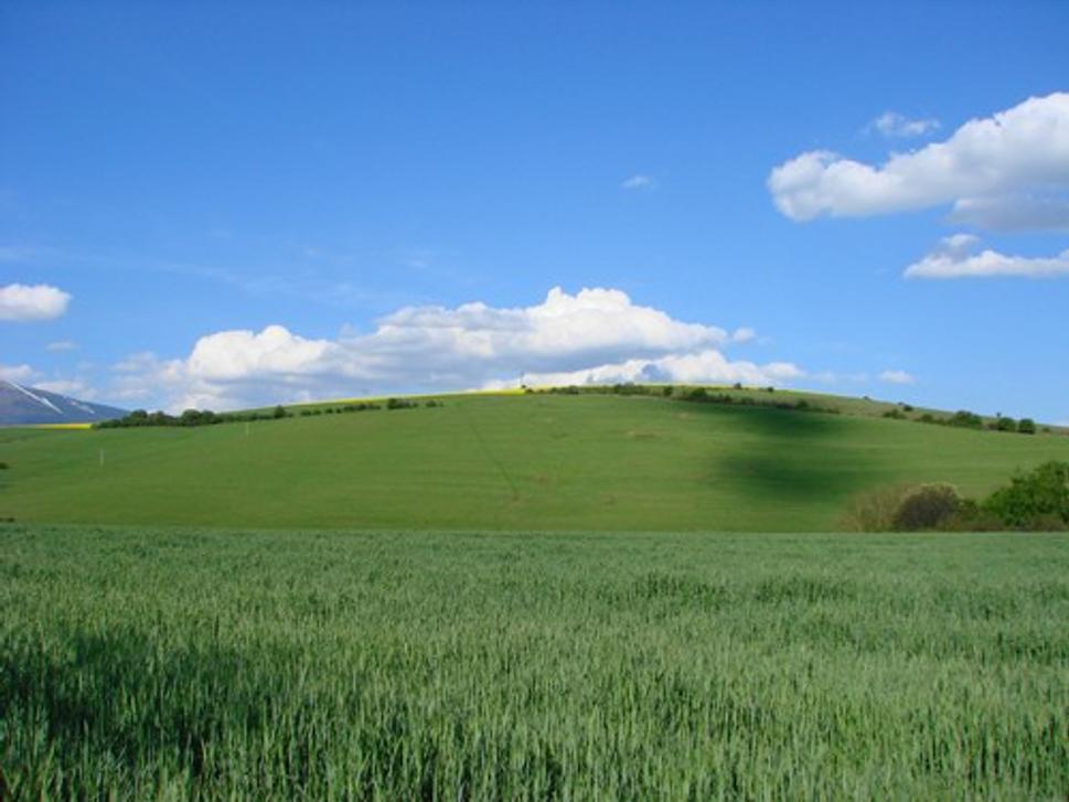 Obrázok blogu