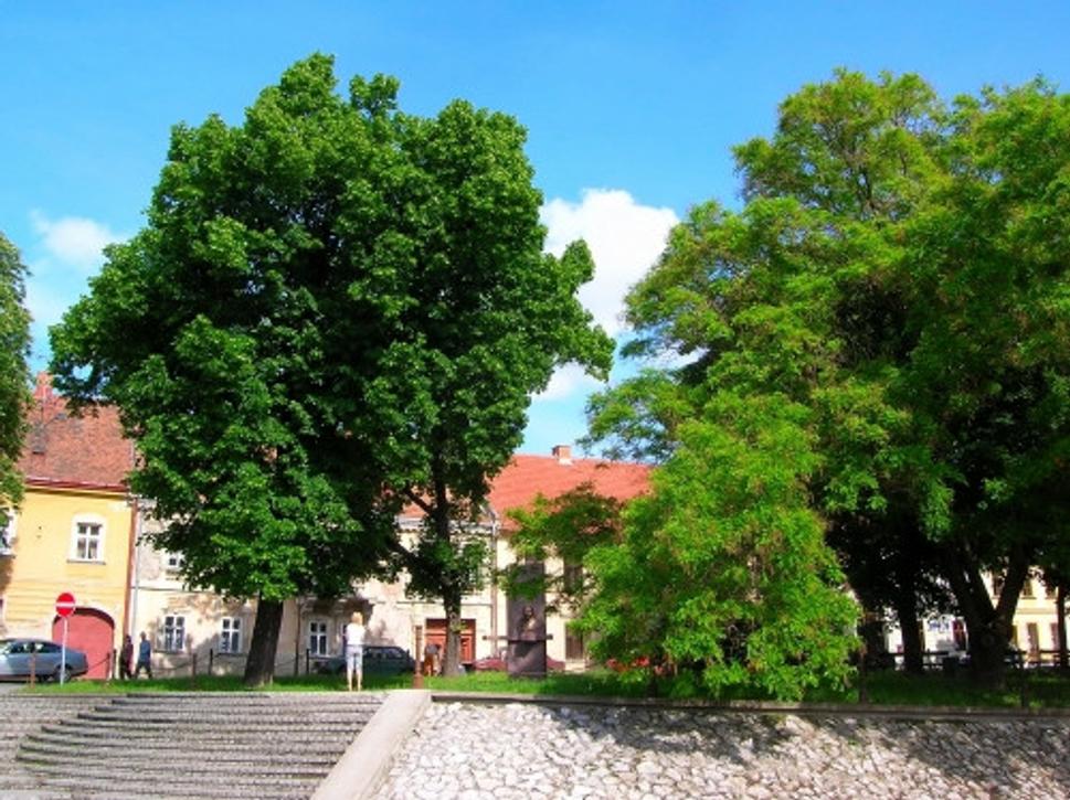 Obrázok blogu