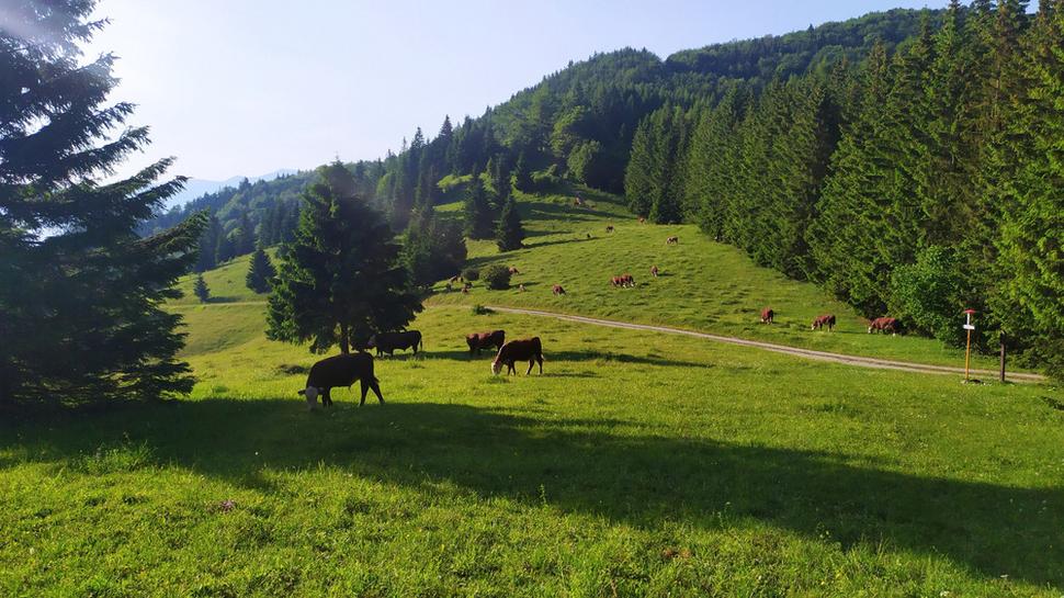 Veľká Fatra.