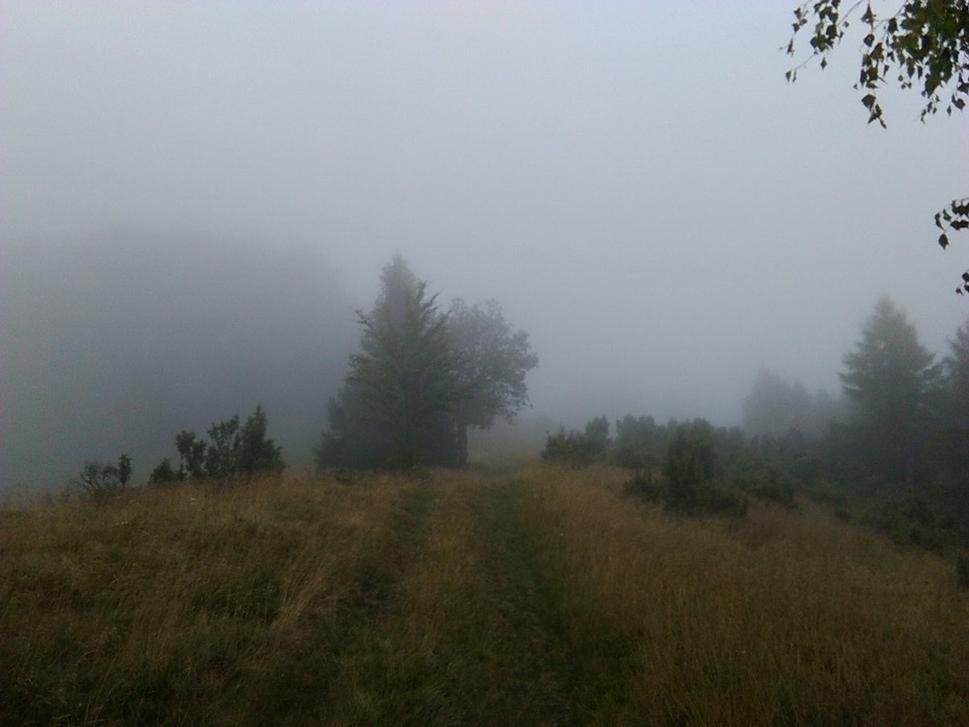 Začiatok cesty na Sedlo Čergov