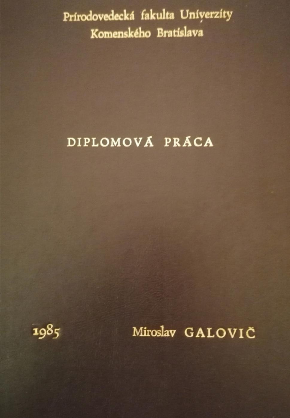diplomovka