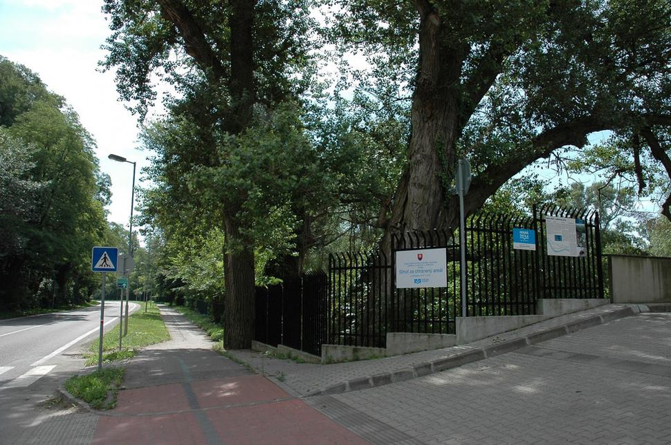 Vstup na ostrov Sihoť