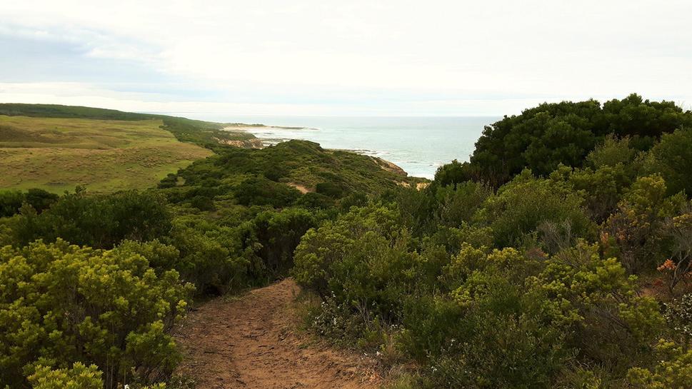 Great Ocean Walk
