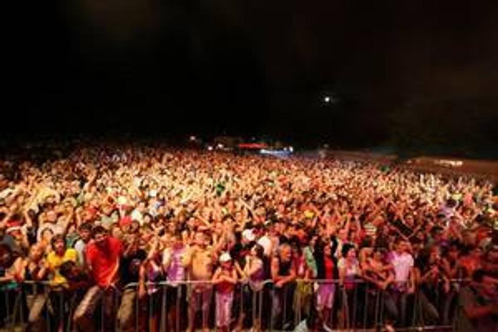 Z festivalu