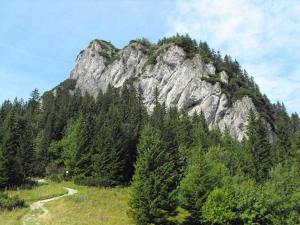 Obrázok blogu