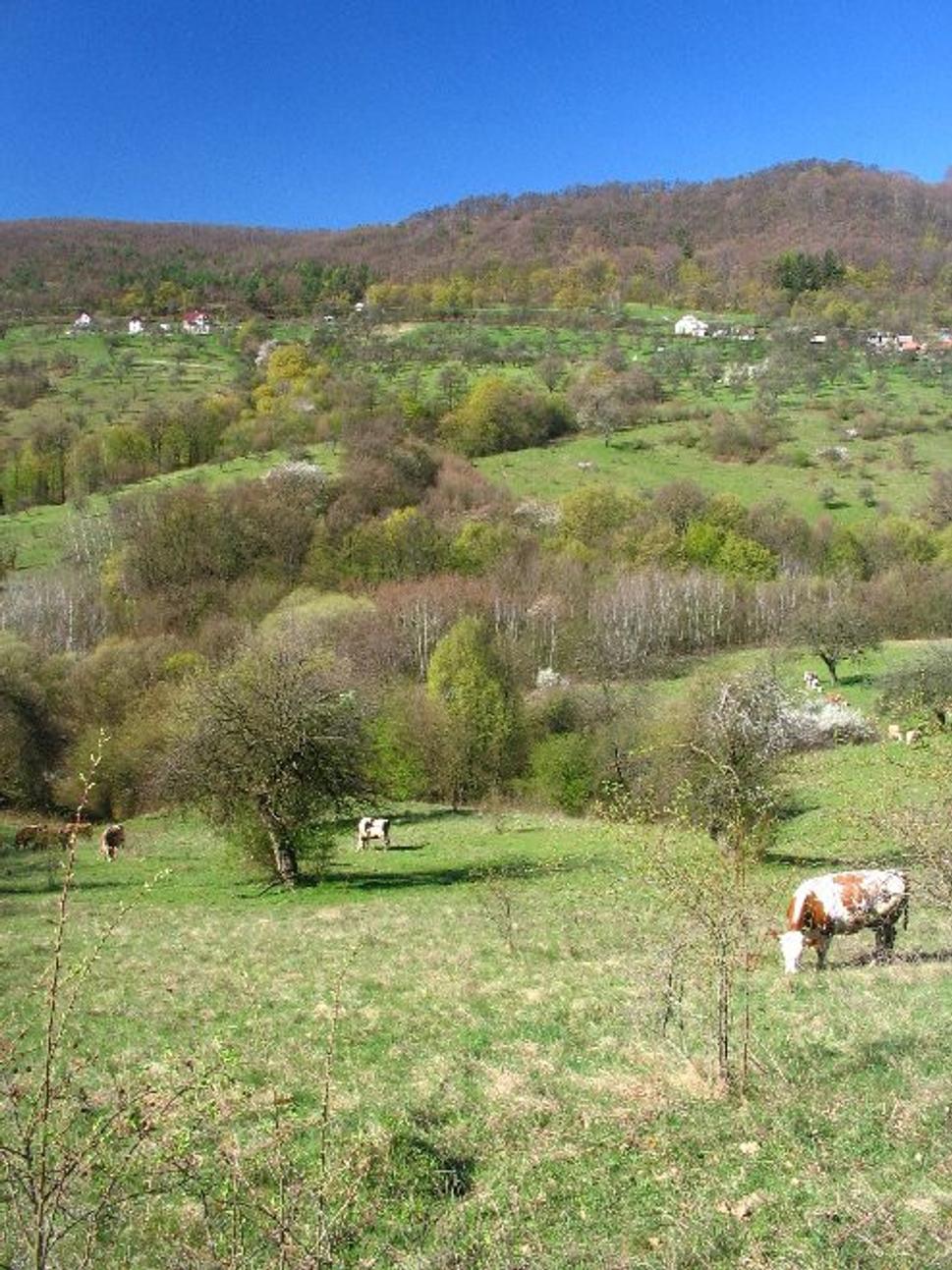 Obrázok blogu