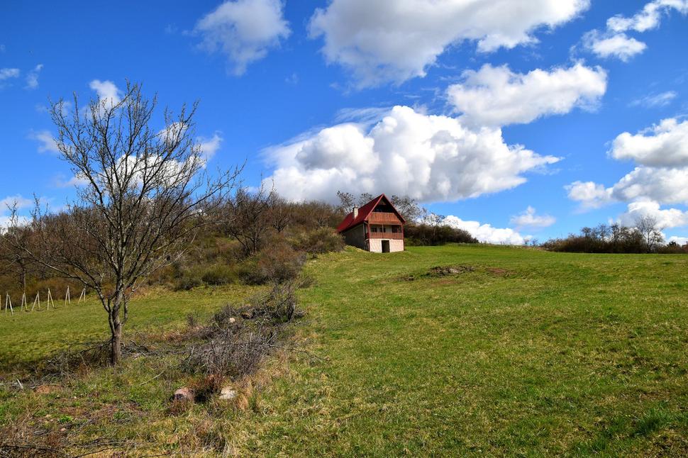 Obrázok blogu
