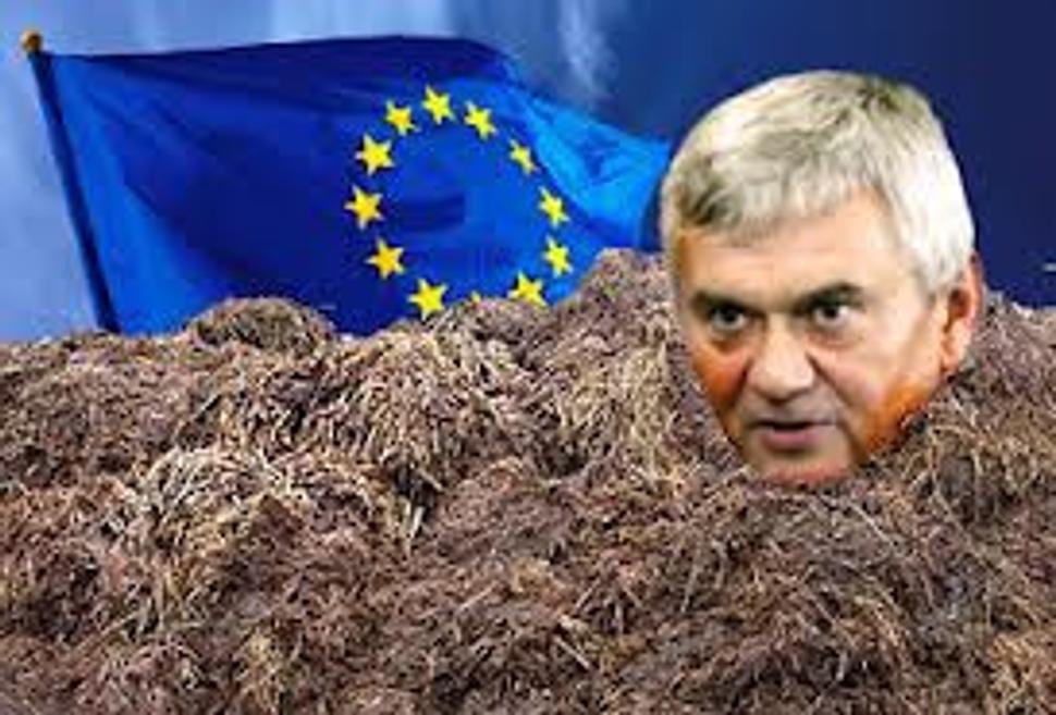 Obrázok blogu