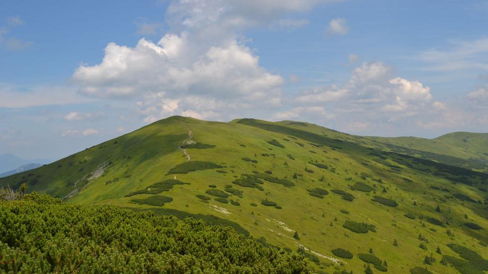 Bližší pohľad na dve sestry:-)