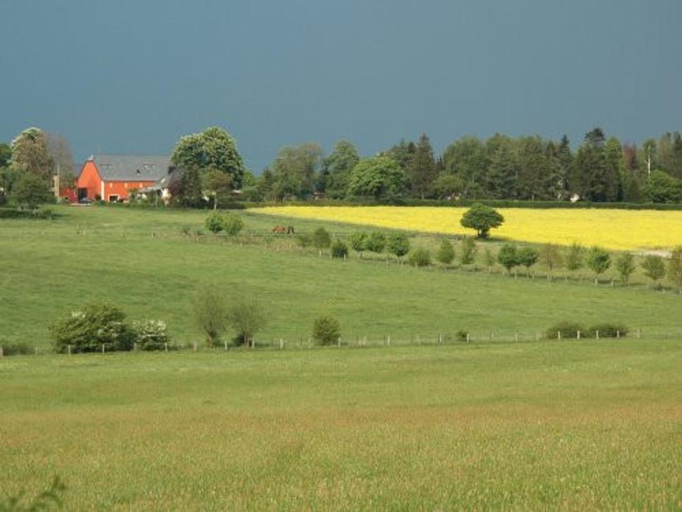 Obrázok blogu