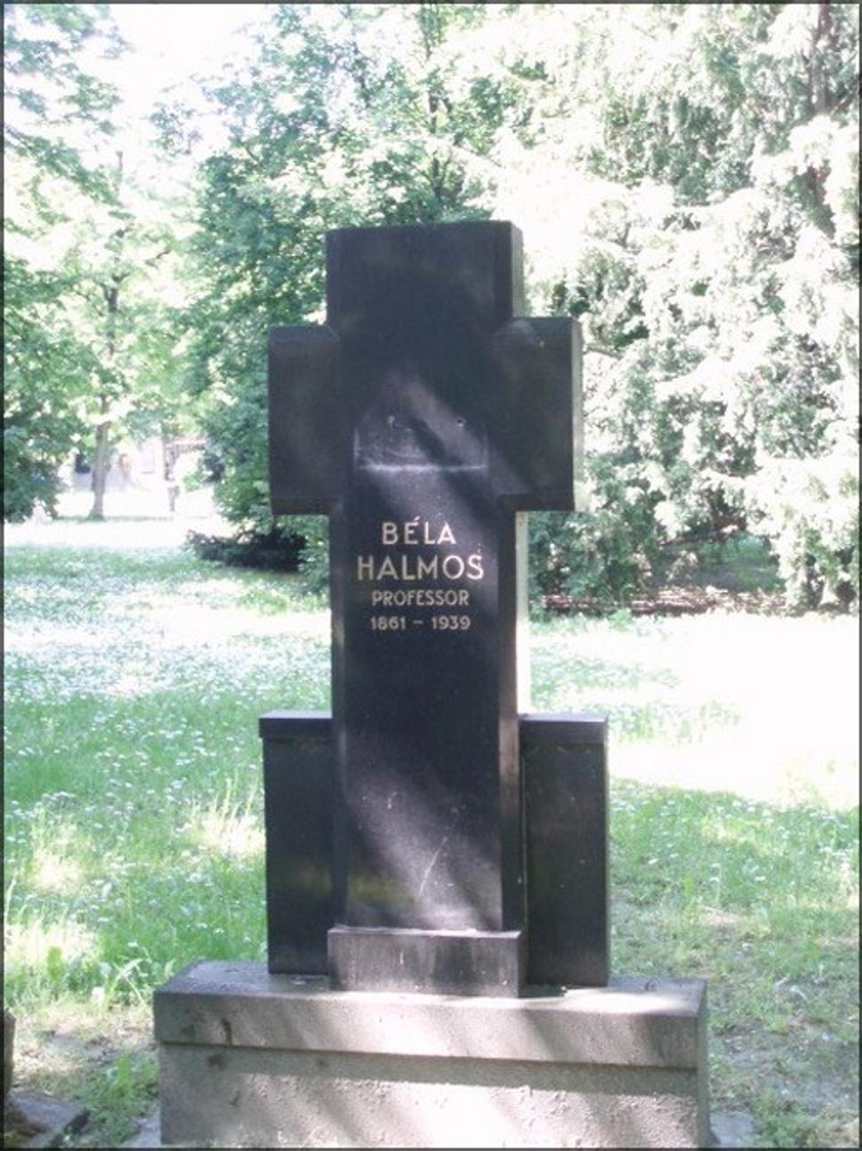 Obrázok blogu